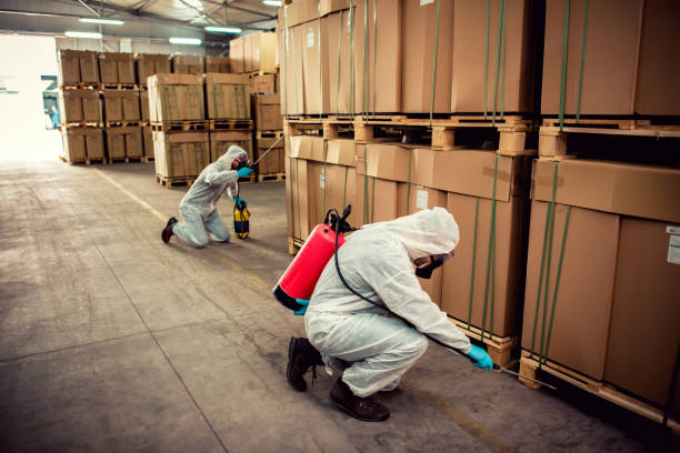 Best Pest Prevention Services  in Lookout Mountain, AL