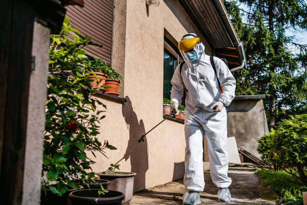 Best Local Pest Control Services  in Lookout Mountain, AL