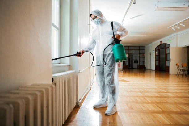 Best Insect Control  in Lookout Mountain, AL